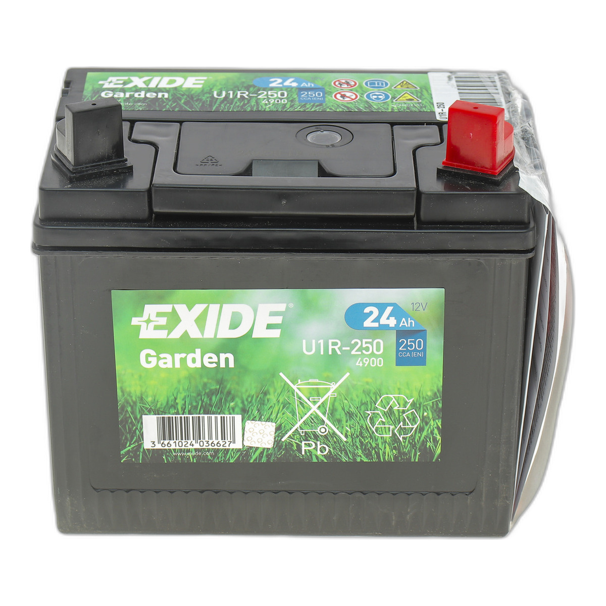 Акумуляторна батарея 24Ah/250A (197x132x186/+R) (Garden) Exide