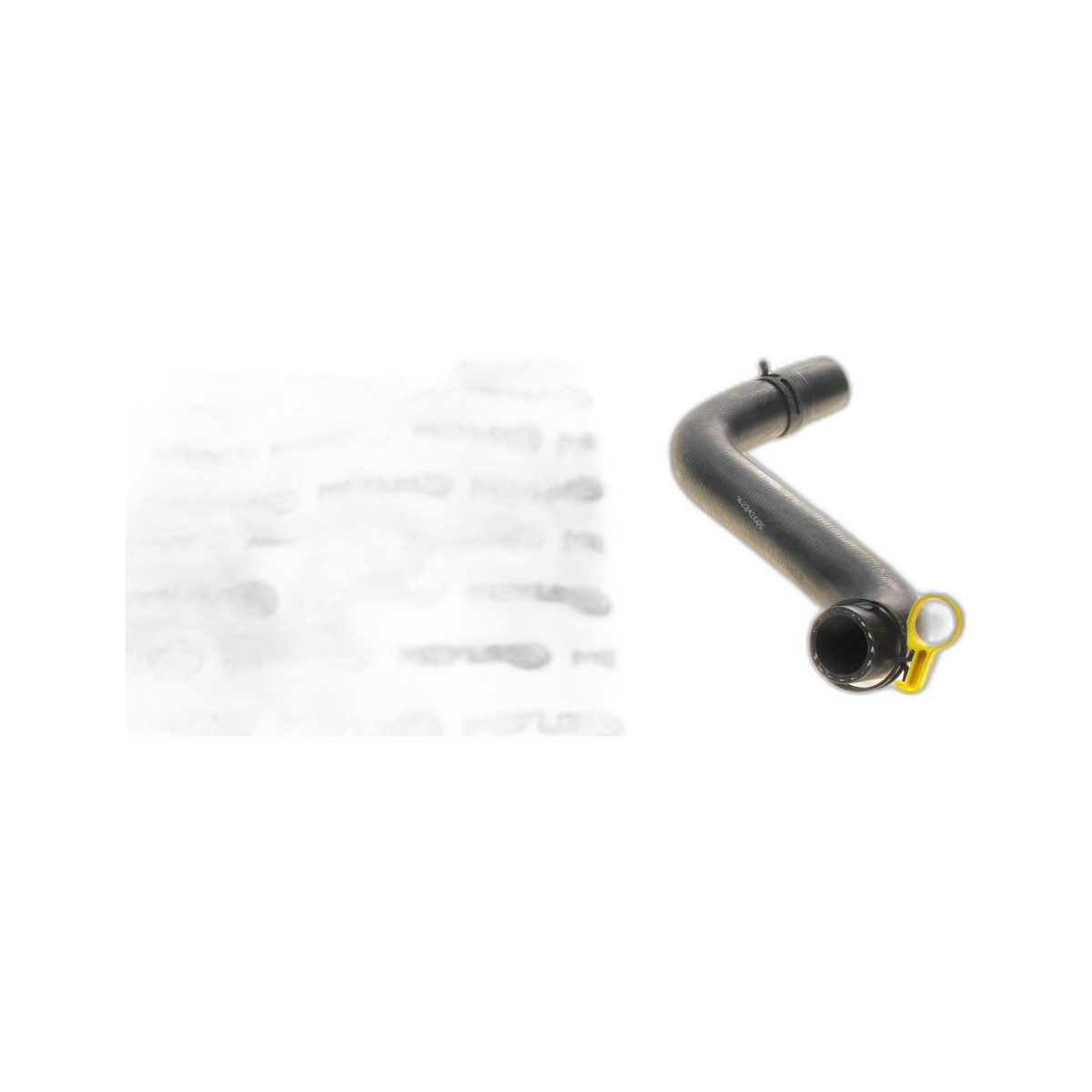 Патрубок радіатора (нижній) Ford Fiesta 1.25-1.6 16V 01-08 (R) Meyle