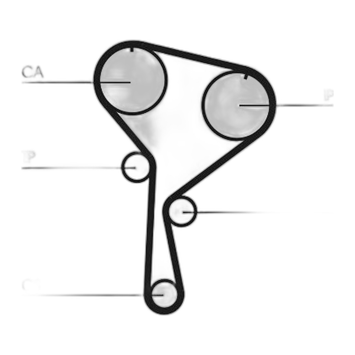 Комплект ГРМ (ремінь + ролик + водяний насос) NISSAN ALMERA II, KUBISTAR, MICRA III, RENAULT CLIO II, KANGOO, KANGOO EXPRESS, KANGOO II, MEGANE II, SCENIC II, THALIA I, SUZUKI JIMNY 1.5/1.5D 06.01-