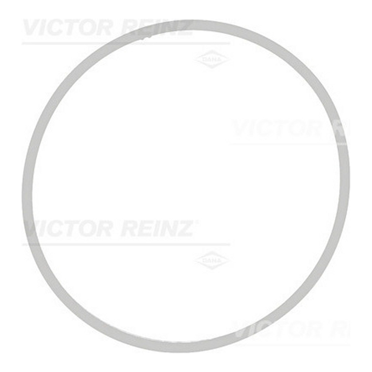 Прокладка колектора впускного BMW 5 (E60)/6 (E63)/7 (E65)/X5 (E70) 05- N62 B40/N62 B48 REINZ