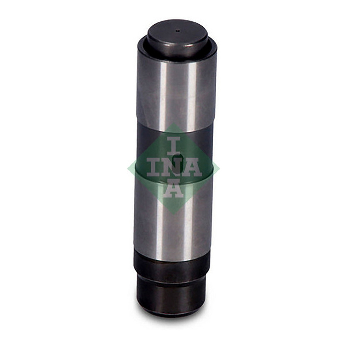 Натягувач ланцюга ГРМ BMW M42/M44 INA (551 0008 10) Schaeffler INA