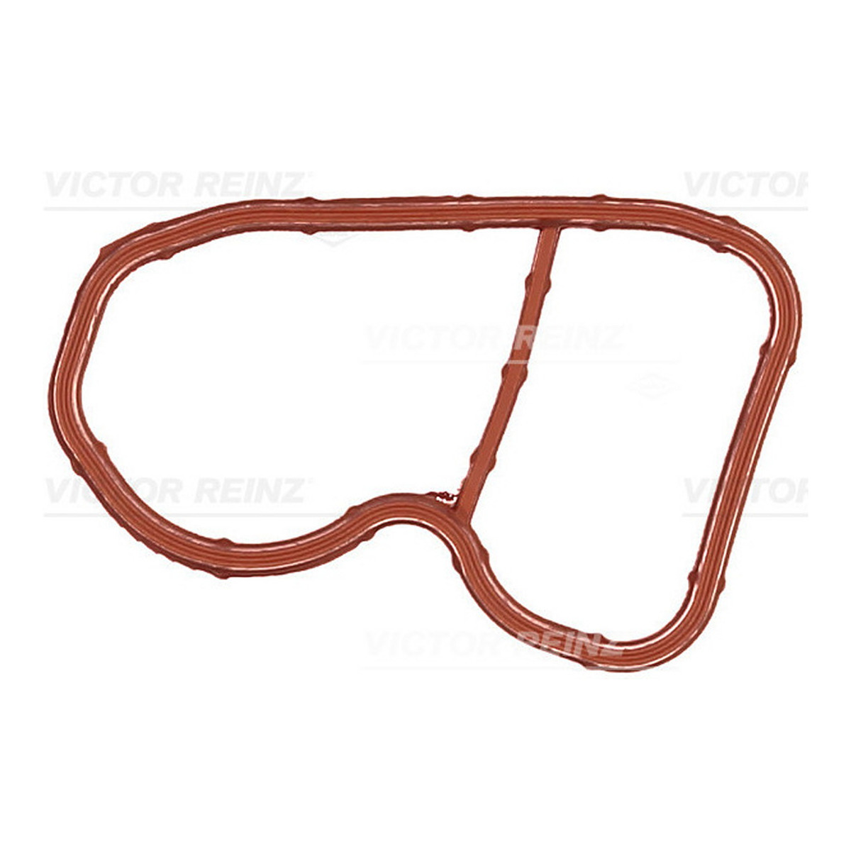 Прокладка колектора впускного BMW X5 (F15/F85) 15- B47 REINZ