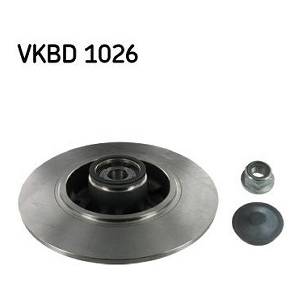 Диск гальмівний (задній) Renault Megane III/Scenic III 08- (260x8) (+ABS) (з підшипником) SKF