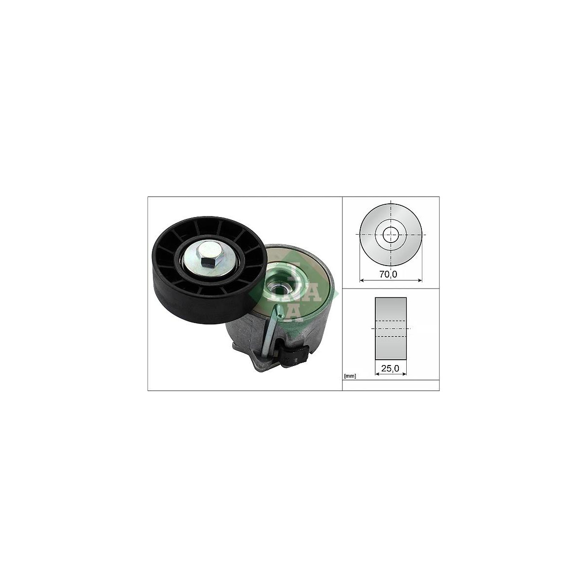 Натяжник ременя генератора Fiat Ducato 3.0HDI 06- Schaeffler INA
