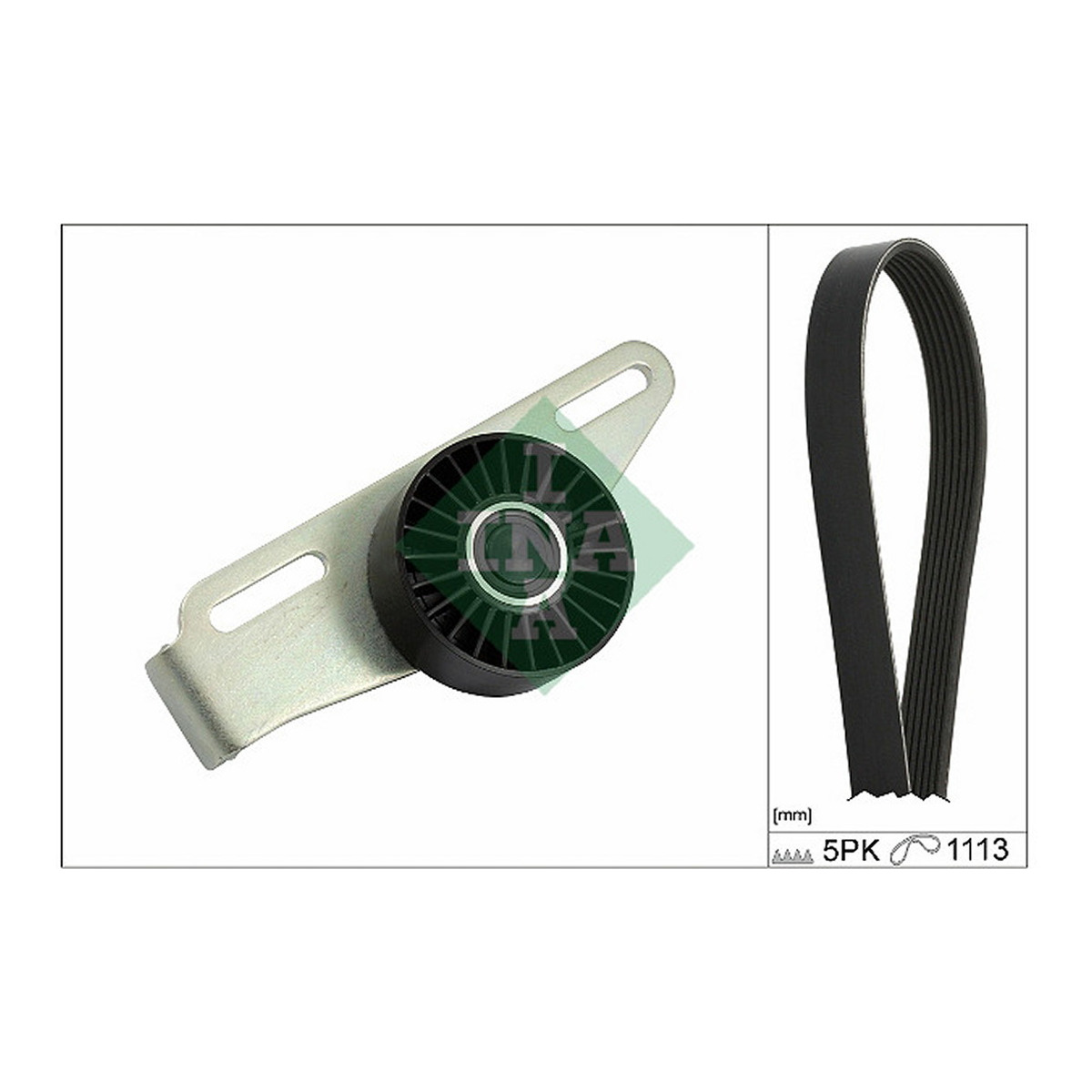 Роликовий модуль натягувача ременя (ролик, ремінь) NEW INA (529 0441 10) Schaeffler INA