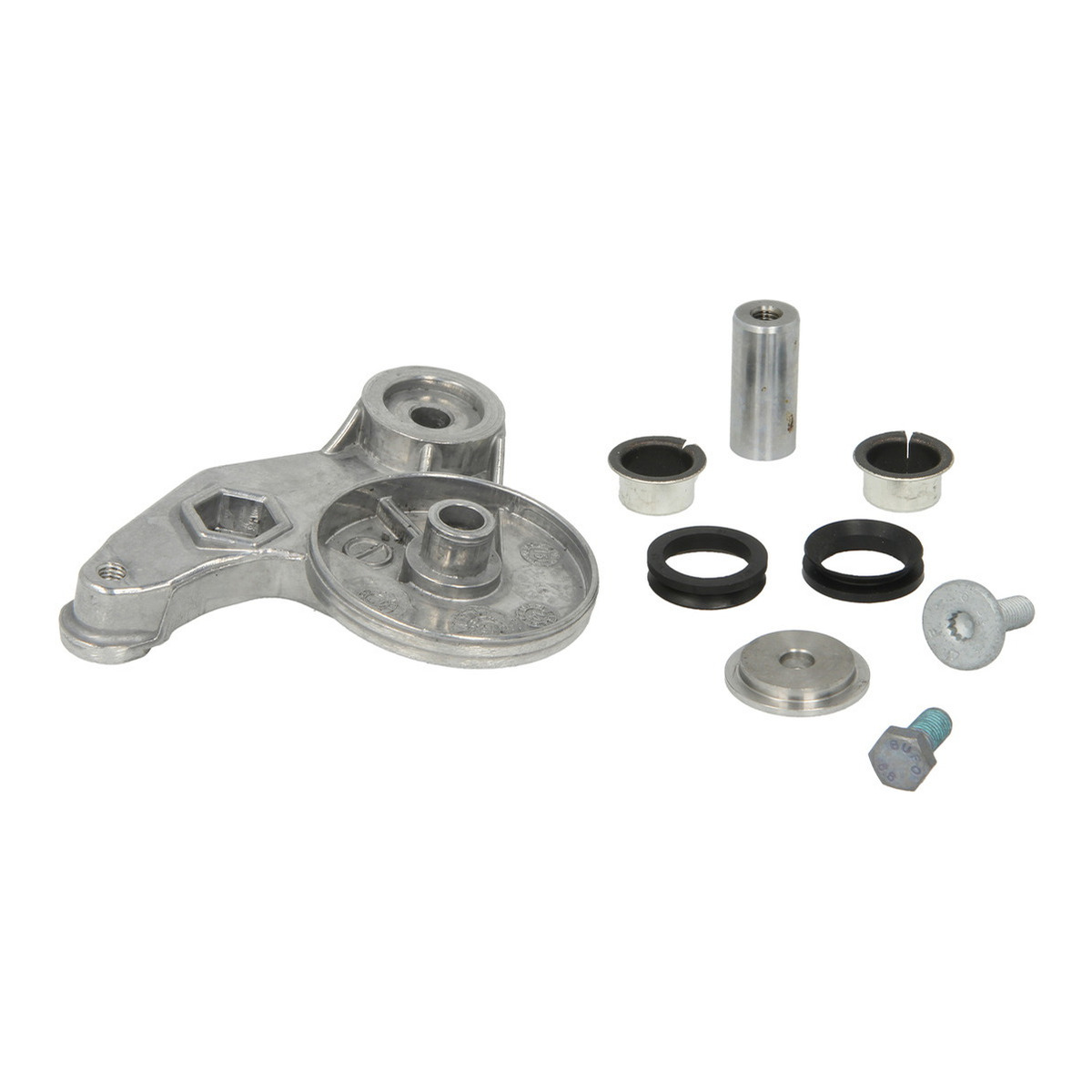 Натяжник ременя генератора VW Passat 2.5 TDI 98-05, AFB, AKN, BDG, BAU, BDH Schaeffler INA