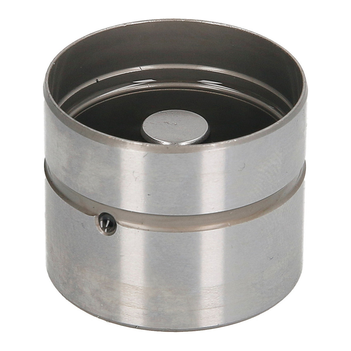 Гідрокомпенсатор Renault Laguna I 2.0 16V 95-01, (N7Q) Schaeffler INA