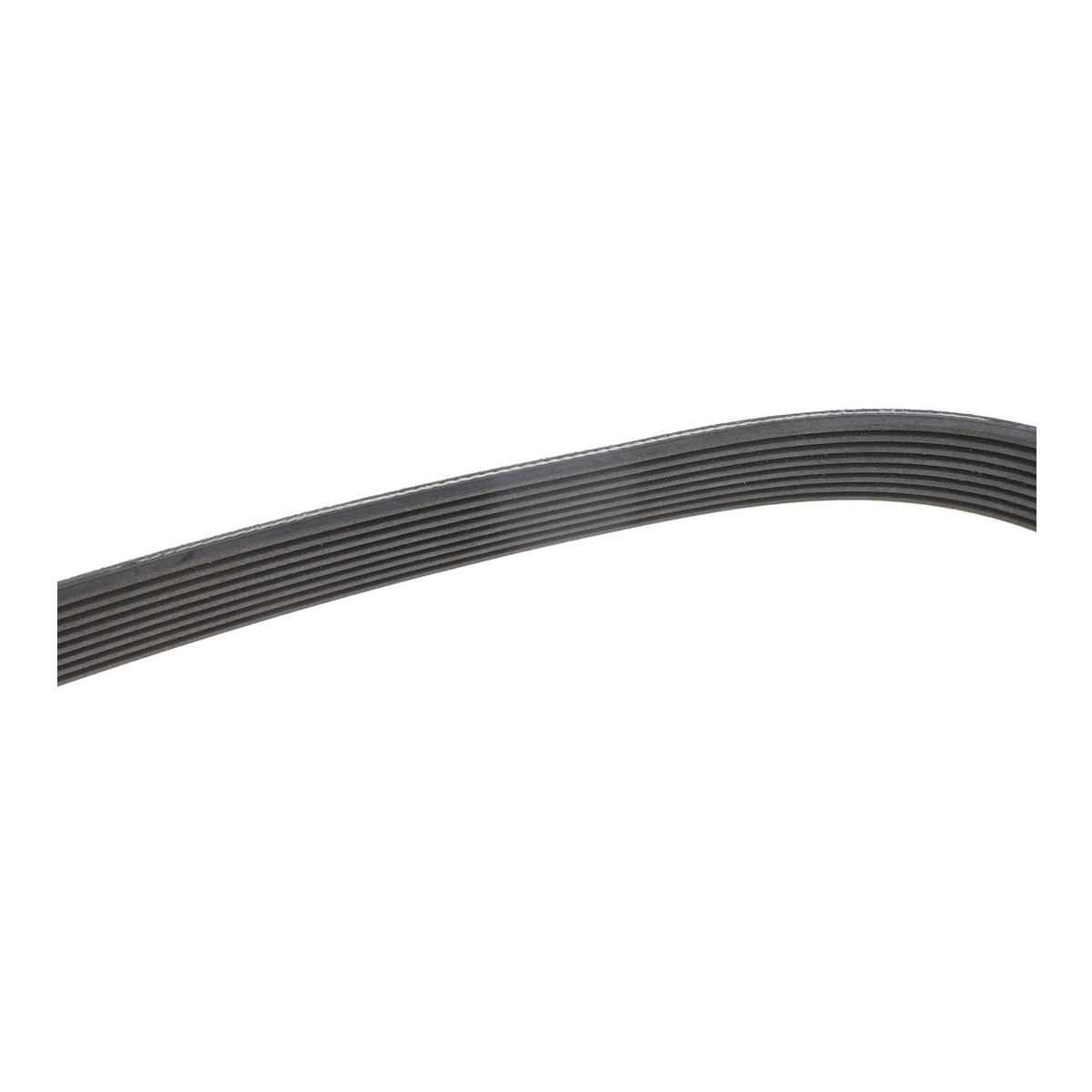 Ремінь генератора Land Rover Discovery 4.4 04-09/Range Rover 4.4 05-13 (8PK850) фото 2