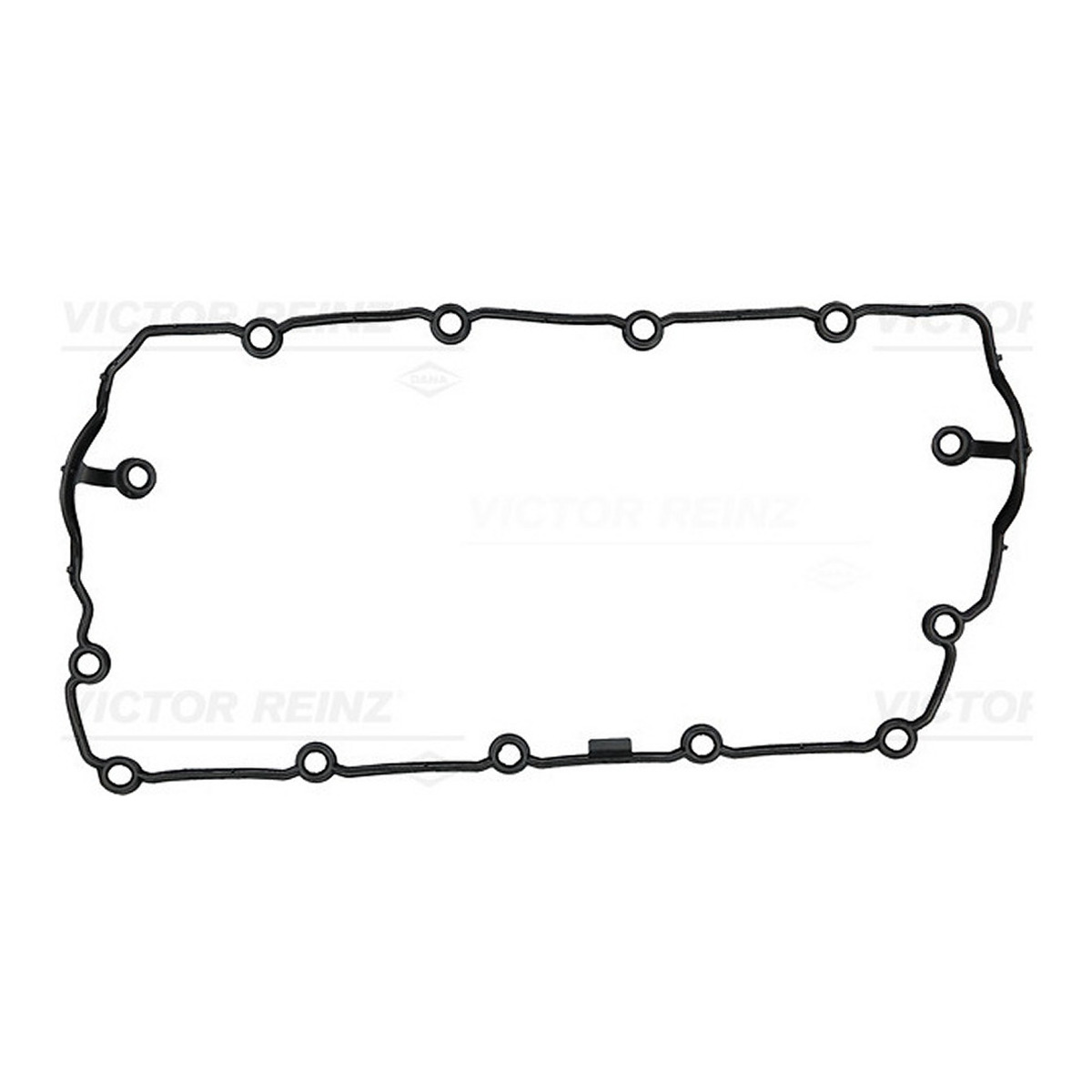 Прокладка кришки клапанів VW T5 1.9TDI 03- (62-75kW), BRS/BRR REINZ