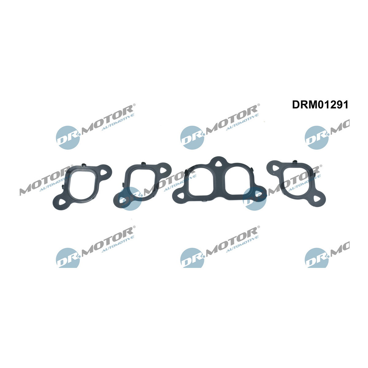 Комплект прокладок з різних матеріалів КОЛЛ. IN (SET) VW 2.5TDI AXD/AXE/BAC DR MOTOR (DRM01291) DR.motor фото 3