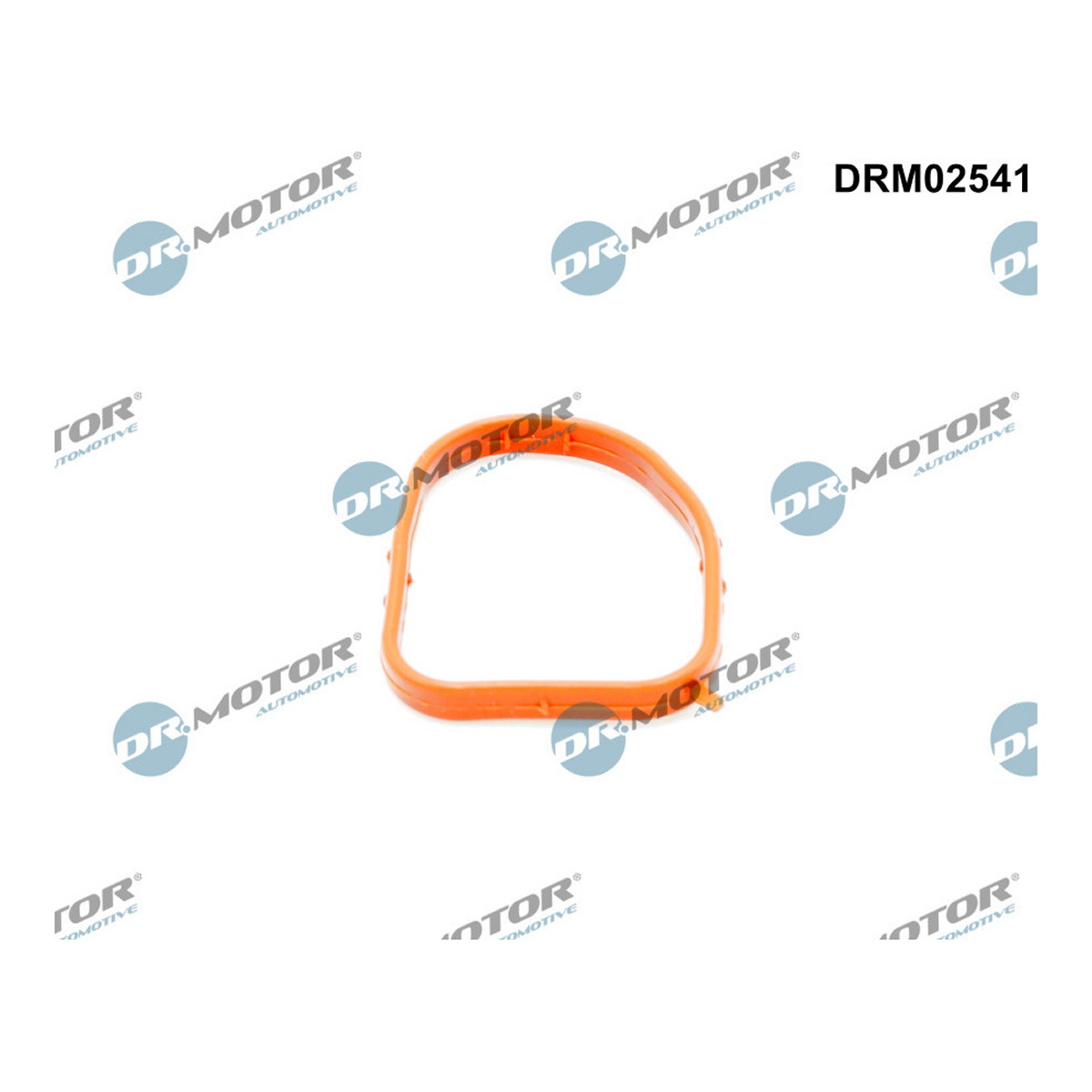 Кільце гумове MB WATER PIPE DR MOTOR (DRM02541) DR.motor фото 3