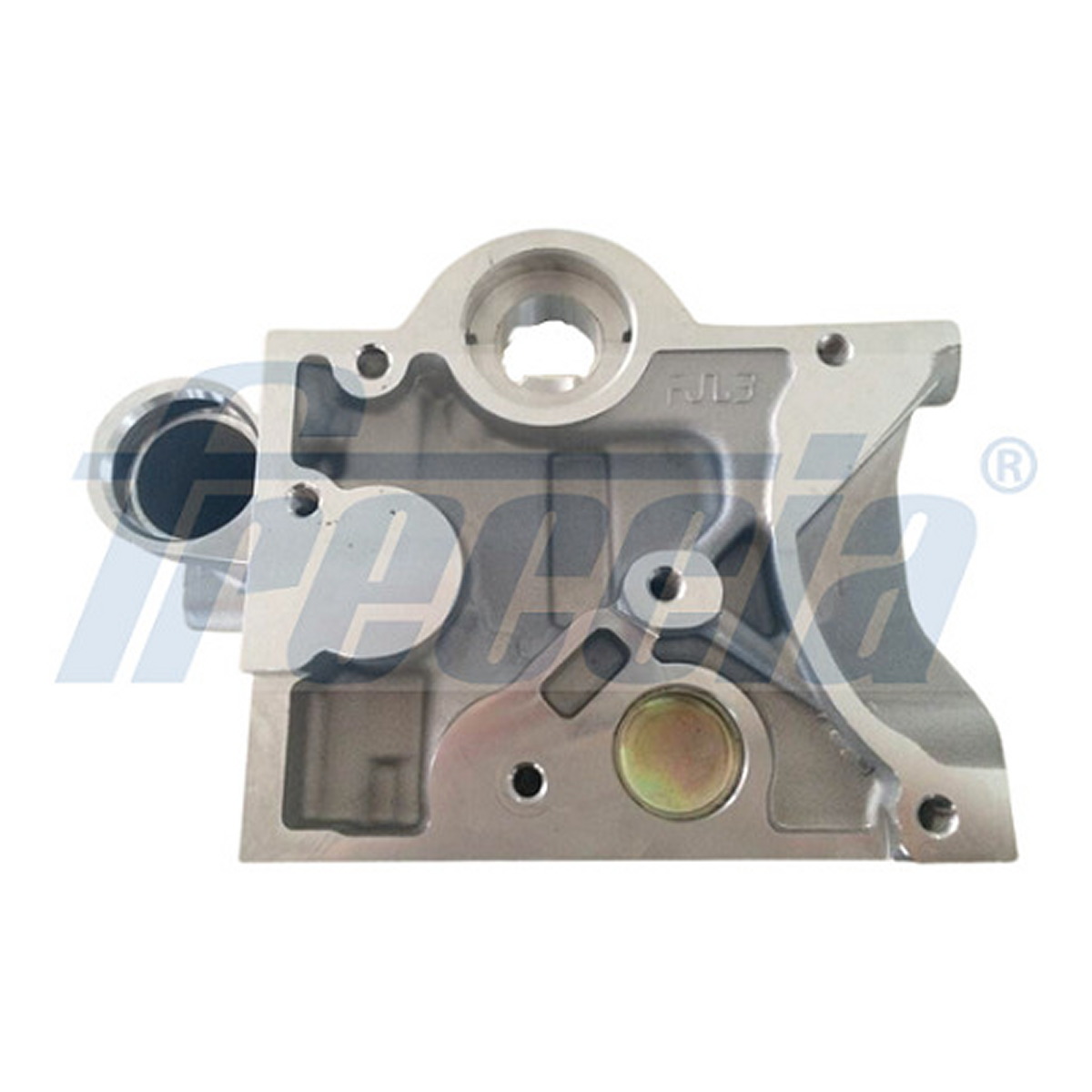 Головка блока RENAULT 1.5 DCI K9K FRECCIA (CH17-1022) Freccia фото 3