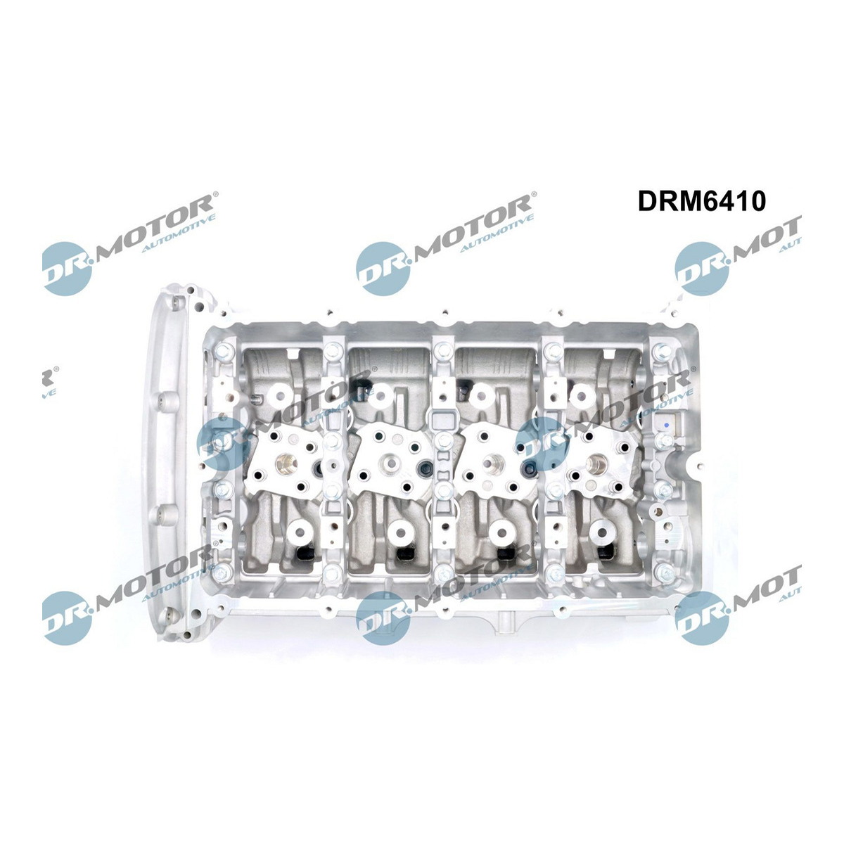 Головка блока FIAT/FORD/PSA DR MOTOR (DRM6410) DR.motor фото 3