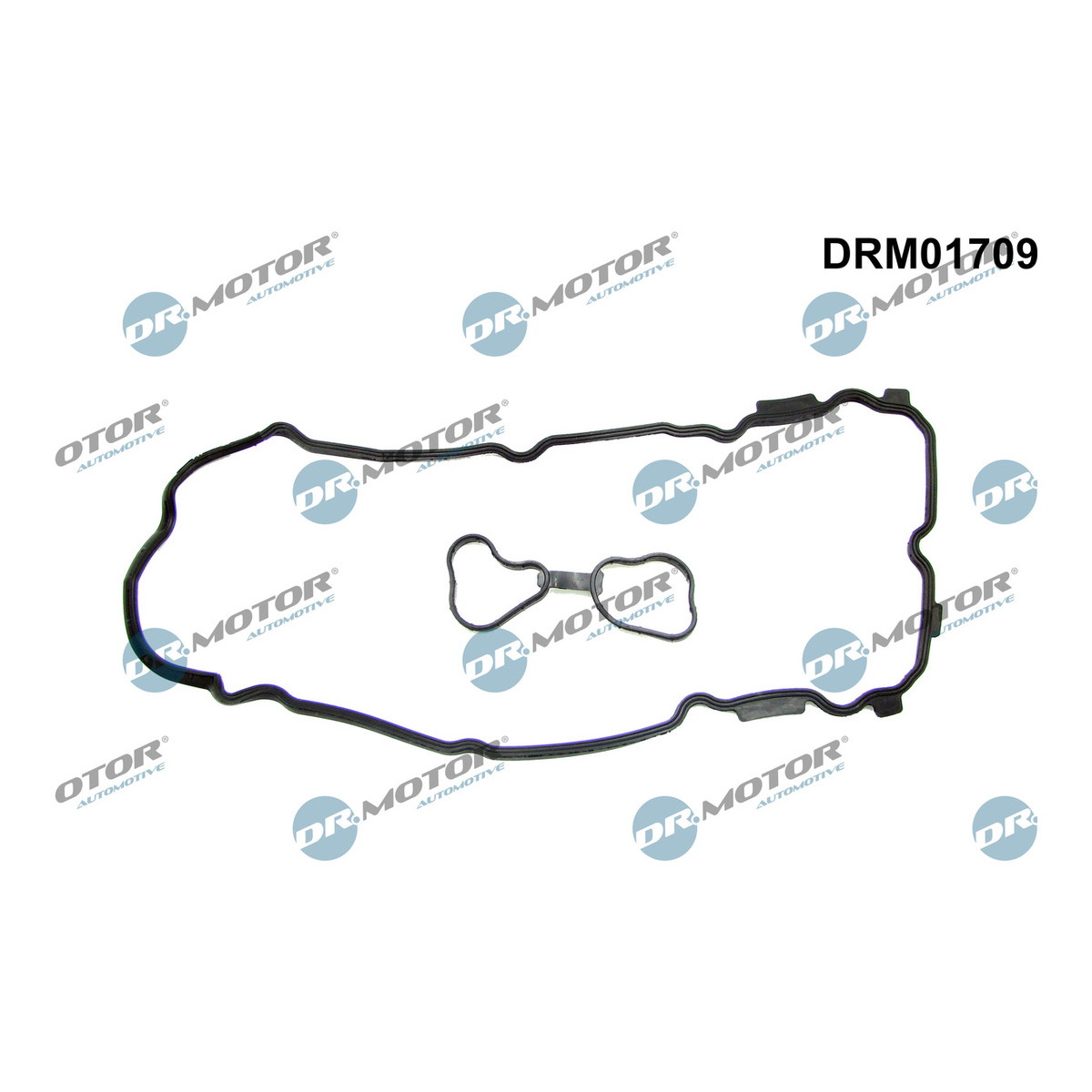 Комплект прокладок гумових КЛАП. КР. (SET) RENAULT/NISSAN 2.5 V6/3.5 V6 VQ35DE/VQ35HR/VQ25DE DR MOTOR (DRM01709) DR.motor фото 3