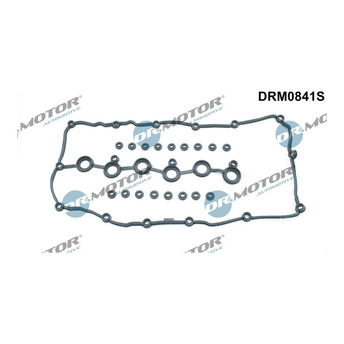 Комплект прокладок гумових КЛАП. КР. (SET) VAG 3.2 V6/3.6 V6 BHK/BHL 09- DR MOTOR (DRM0841S) DR.motor фото 3