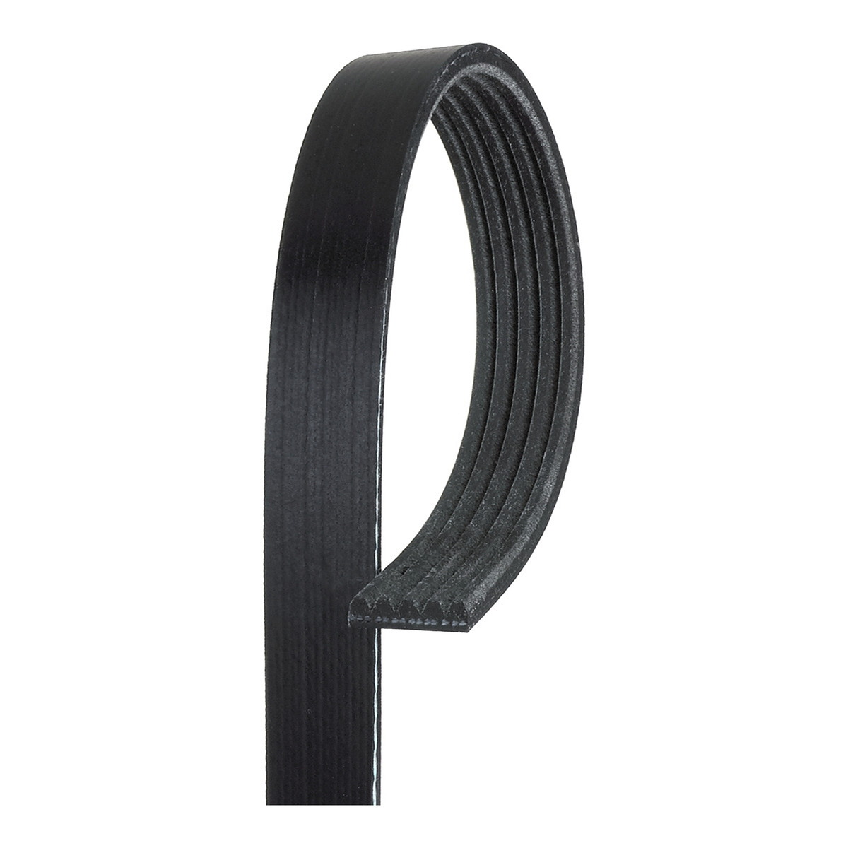 Ремінь поліклиновий CITROEN ZX (N2) 1.4/1991.03 - 1999.07 GATES (5PK803) Gates фото 3