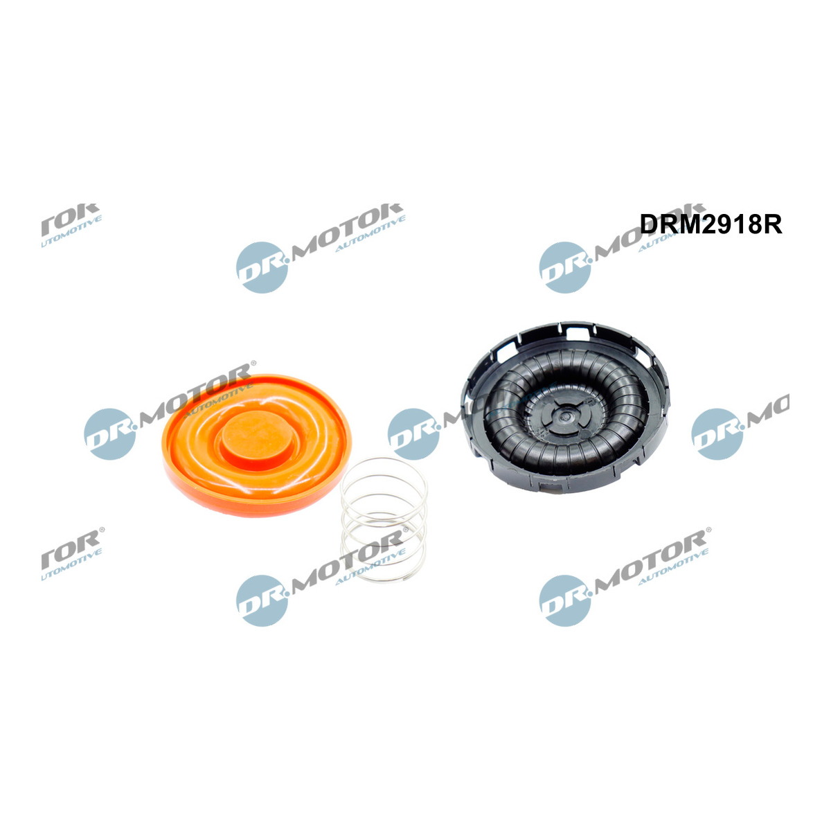 Клапан вентиляції картерних газів BMW DR MOTOR (DRM2918R) DR.motor фото 3