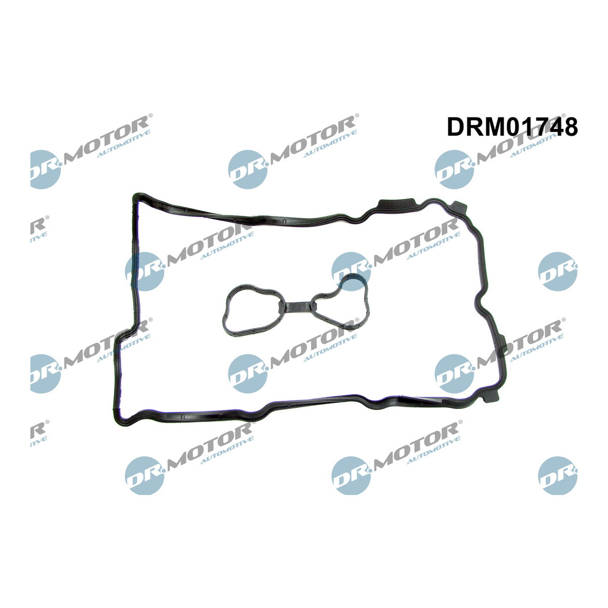 Комплект прокладок гумових КЛАП. КР. (SET) RENAULT/NISSAN 2.5 V6/3.5 V6 VQ35DE/VQ35HR/VQ25DE DR MOTOR (DRM01748) DR.motor фото 3