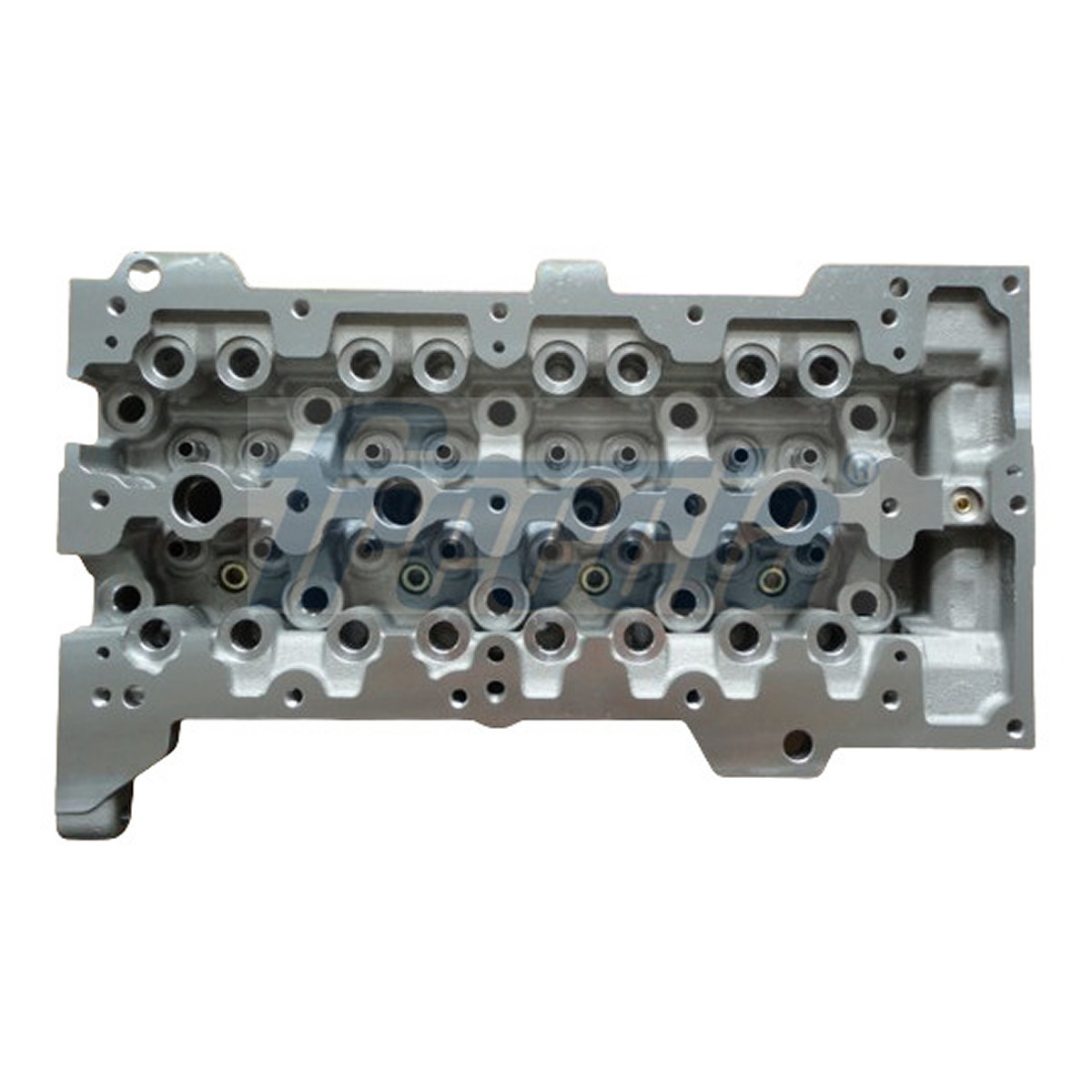 Головка блока FIAT 1.3 D MULTIJET 4X4 ' 04' FRECCIA (CH17-1078) Freccia фото 3