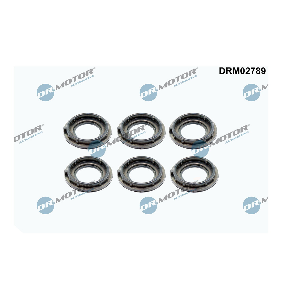 Комплект прокладок гумових КЛАП. КР (SET) AUDI A3/S3 V6 2005-2013 [USA] КОЛОДЯЗЯ СВІЧКИ (PCS DR MOTOR (DRM02789) DR.motor фото 3
