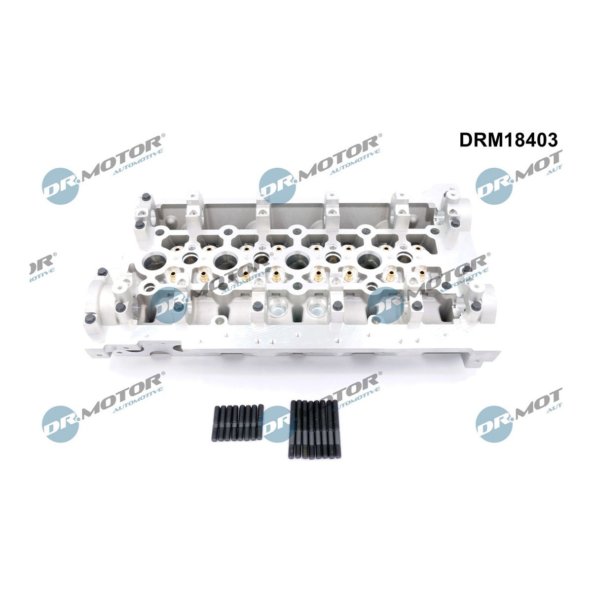 Головка блока RENAULT/NISSAN/OPEL DR MOTOR (DRM18403) DR.motor фото 3