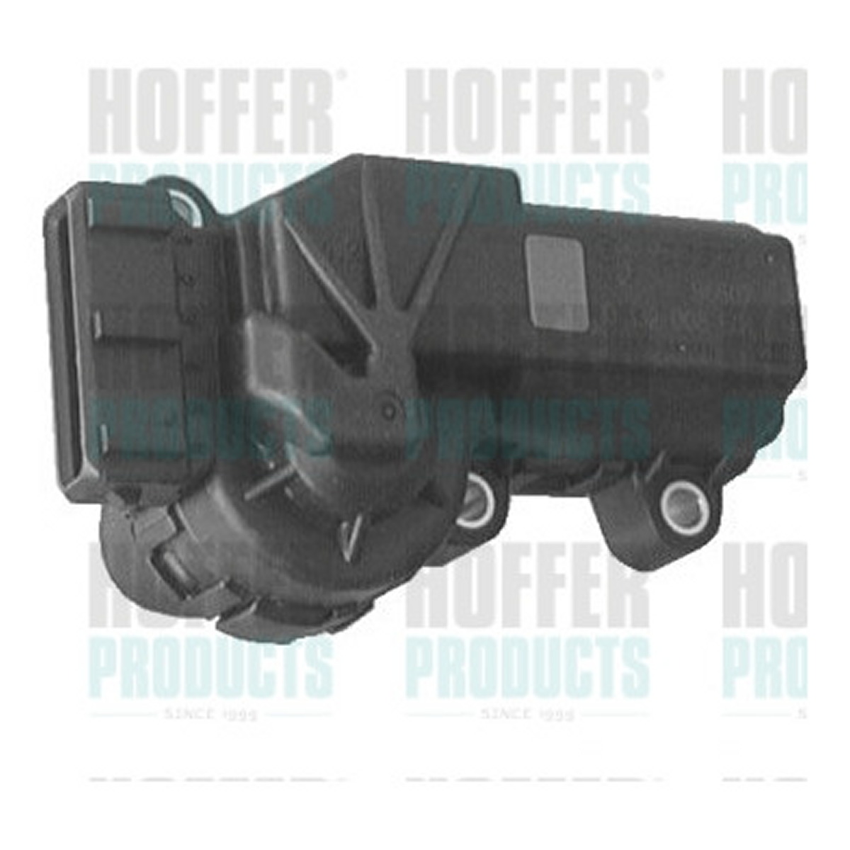 Регулятор холостого ходу VW GOLF III (1H1) - 1.6 (1989.10 - 1998.07) HOFFER (7514004)  Hoffer фото 3