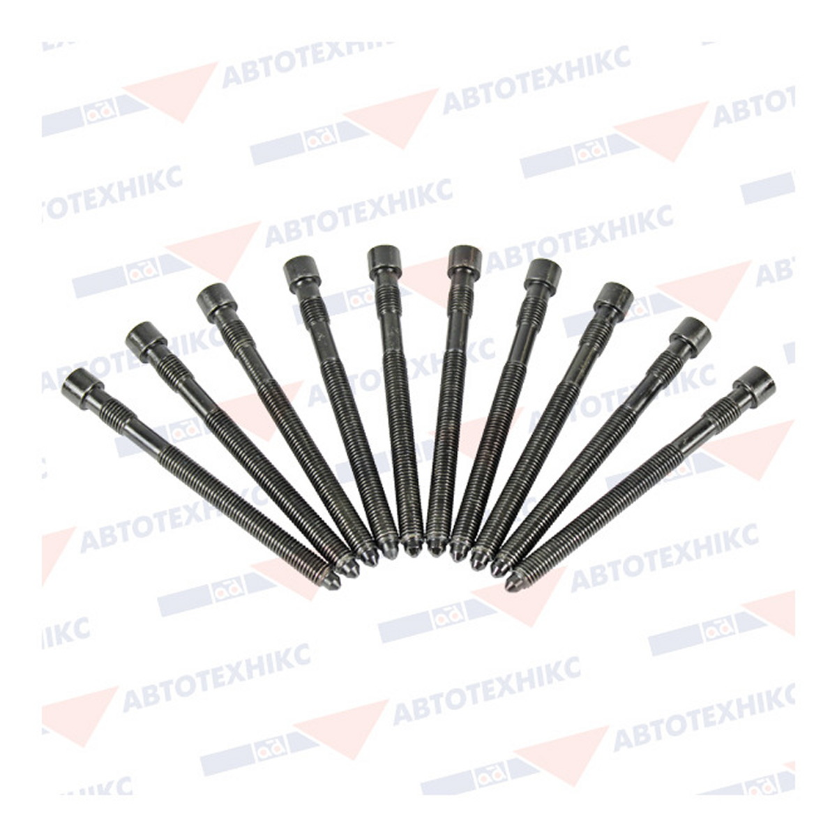 Комплект болтів з головкою системи TORX з чорного металу AUDI A4 2004-2008, A6 2001-2005 BGA (BK3377) BGA фото 3