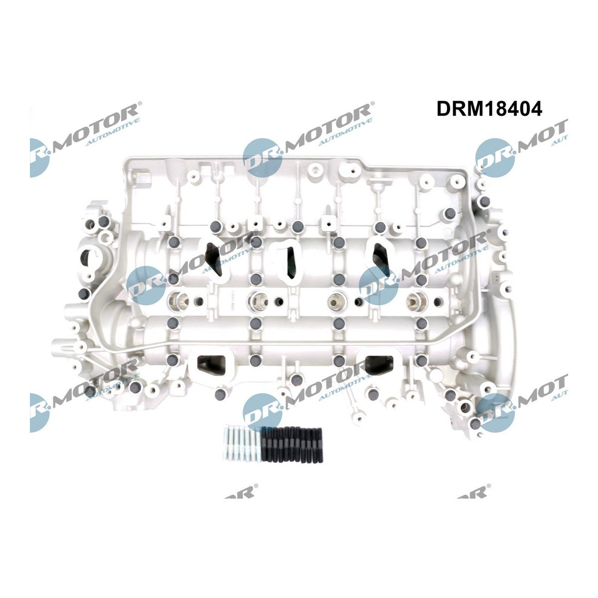 Головка блока RENAULT/NISSAN/OPEL DR MOTOR (DRM18404) DR.motor фото 3