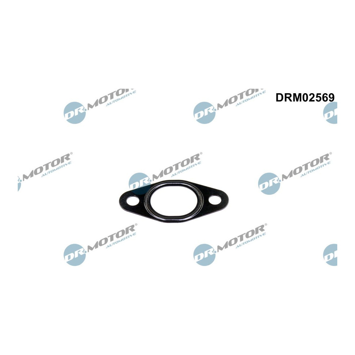 Прокладка двигуна металева BMW EGR DR MOTOR (DRM02569) DR.motor фото 3