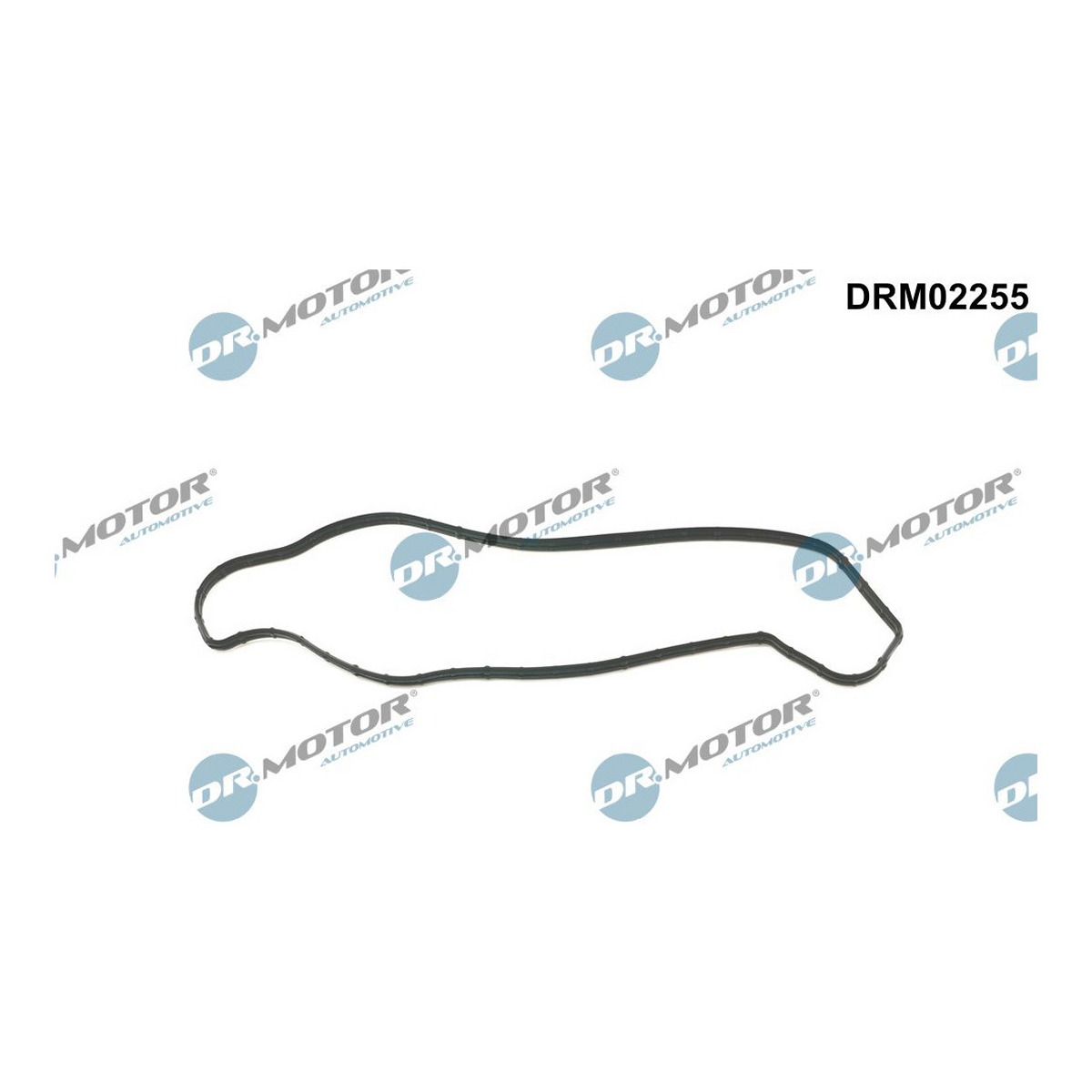 Прокладка двигуна гумова FIAT/DODGE/LANCIA WATER PUMP DR MOTOR (DRM02255) DR.motor фото 3
