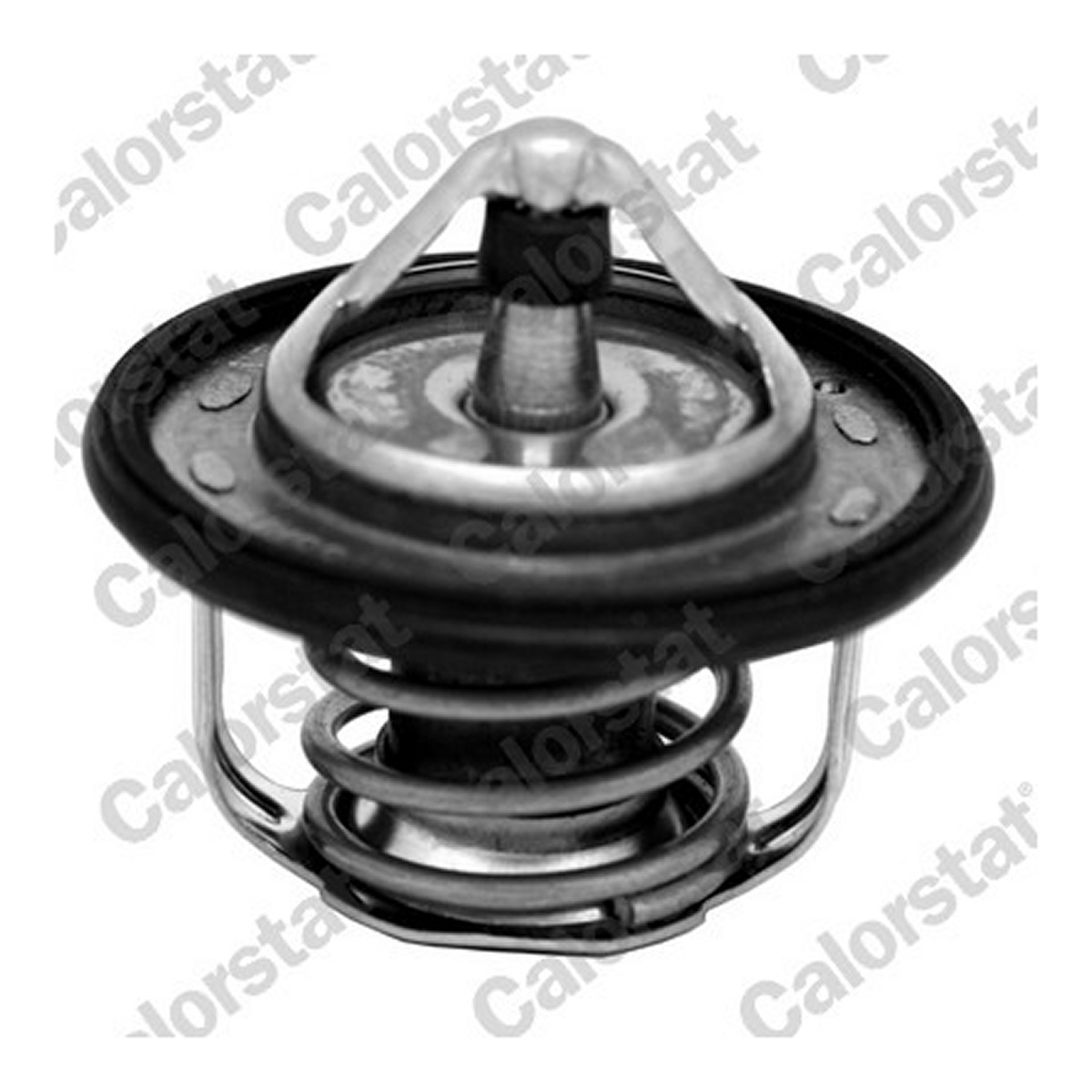 Термостат NISSAN JUKE / QASHQAI / X-TRAIL ¤ RENAULT CLIO / FLUENCE / GRAND VERNET (TH7300.95J) VERNET фото 3