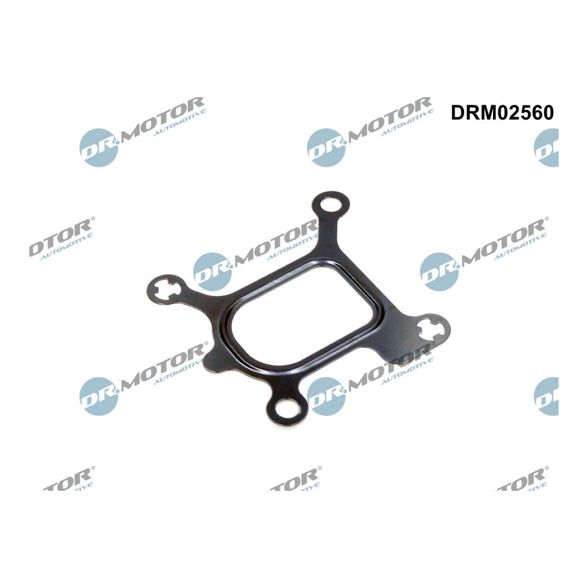 Прокладка двигуна гумова FORD WATER PUMP DR MOTOR (DRM02560) DR.motor фото 3