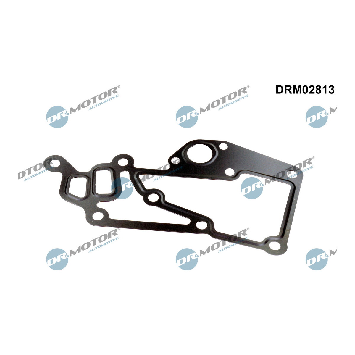 Прокладка двигуна металева PSA 1.8/2.0/2.2 WATER PIPE 99- DR MOTOR (DRM02813) DR.motor фото 3