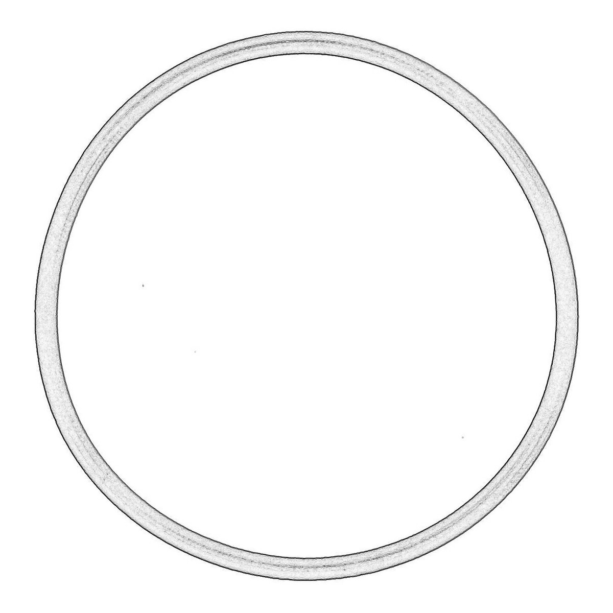 Ущільнення паливного насосу ((EN) high-pressure pump o-ring) NISSAN NV400, OPEL MOVANO B, RENAULT ALASKAN, MASTER III 2.3D 02.10-