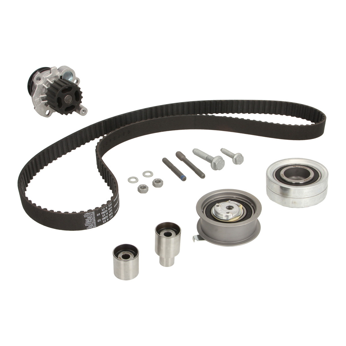 Комплект ГРМ + помпа VW Caddy II 1.9TDi 95-04 Schaeffler INA