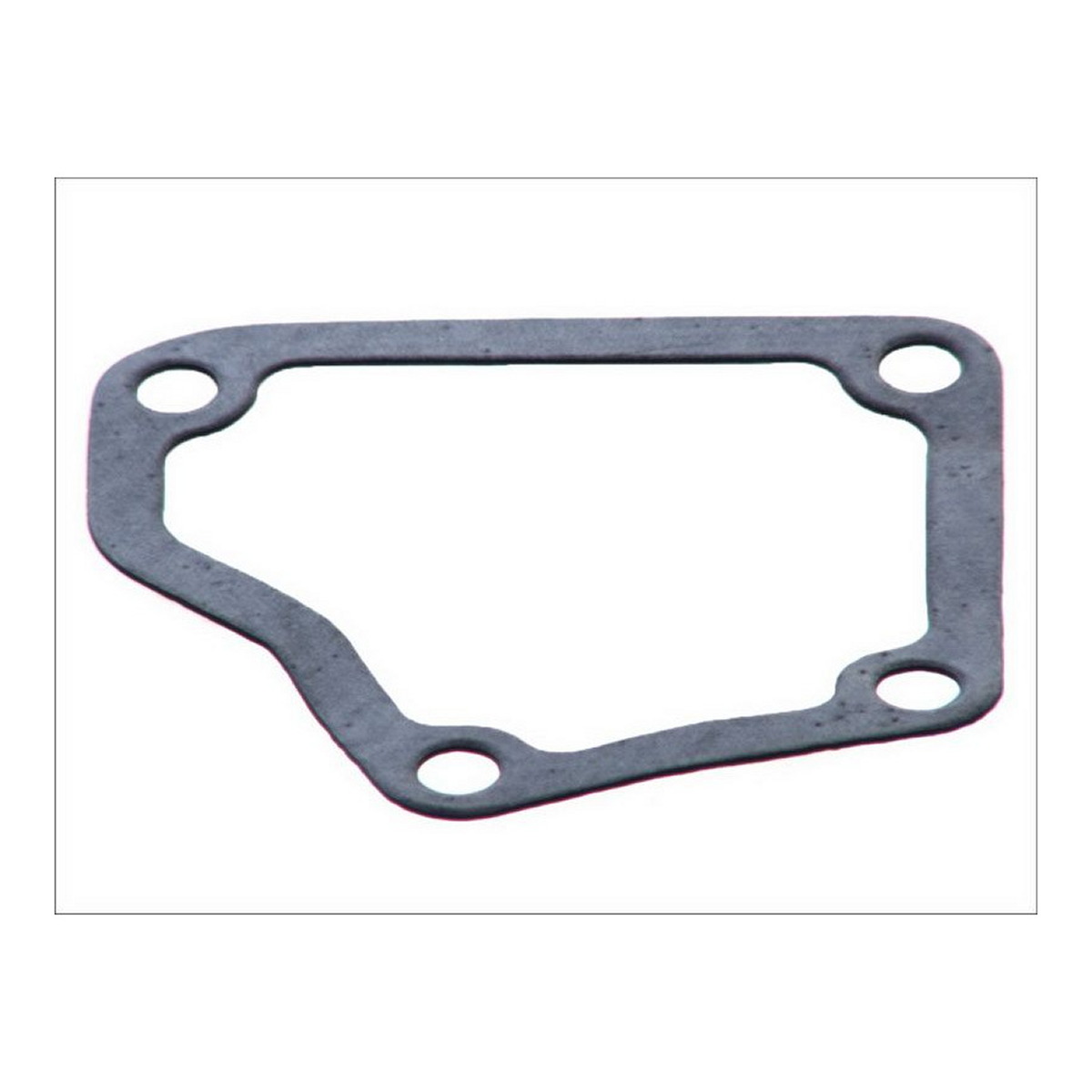 Прокладка корпусу термостата CITROEN JUMPER I, JUMPER II, PEUGEOT BOXER, RENAULT MASTER II 8140.43N-S9W702 07.98-06.06